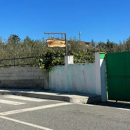 Vila Lake * Puke